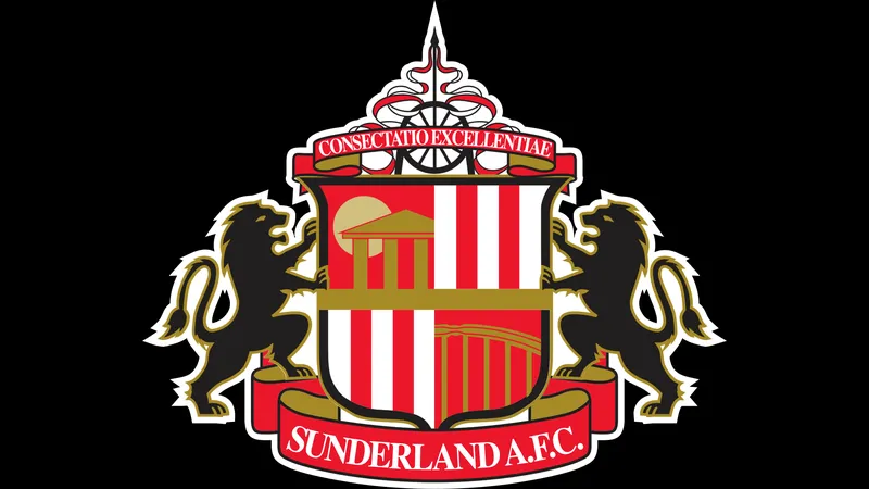 Cầu thủ Sunderland chặn đường dẫn bóng của Newcastle trên sân Cầu thủ Sunderland chặn đường dẫn bóng của Newcastle trên sân