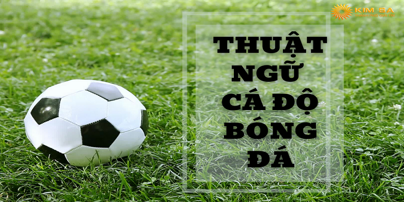 Top 3 loại thuật ngữ cá độ bóng đá Jun88 cần phải biết 4 Thuật ngữ cá độ bóng đá Jun88